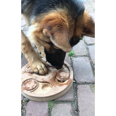 Onze duitse herder is er superblij mee