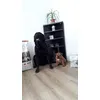 Velky a maly Wolfik
