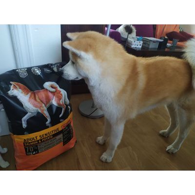Yuki