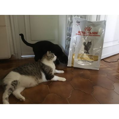 Royal Canin