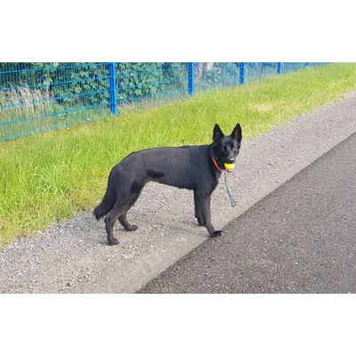 Langlebiges Spielzeug