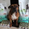 Tyson