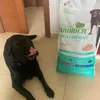 Dafne e la sua nuova pappa