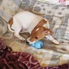 Casper e il nuovo passatempo 