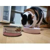 Her favorite food