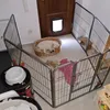 puppy and cat in one room