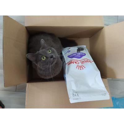 Sponsor Royal Canin