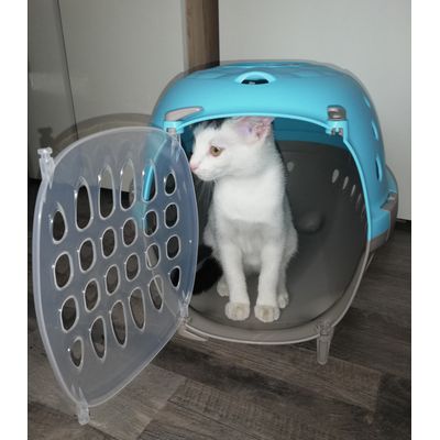 Transporter