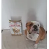  Ettore