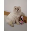 Montyho nove oblibene pamlsky 