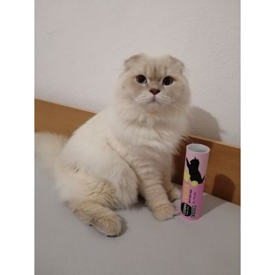 Montyho nove oblibene pamlsky