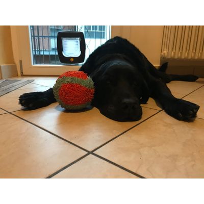 Eros e la sua palla
