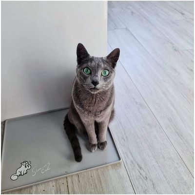 Where is my food