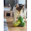 Nala liebt den Brokkoli 