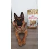 Samy