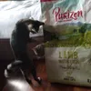 smells good