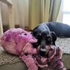 Rozi and her octopus
