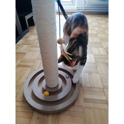 Mya si noua jucarie