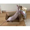 Mrrrr