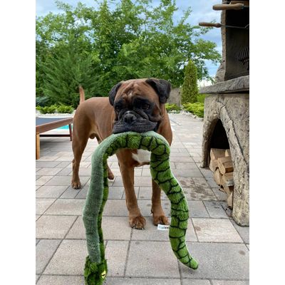 Milo met slang