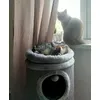 Dolly a Oliver 