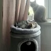 Dolly a Oliver
