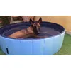 Dog Pool keep cool
