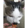 Delicios