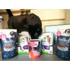 Umido Natural trainer sterilized 