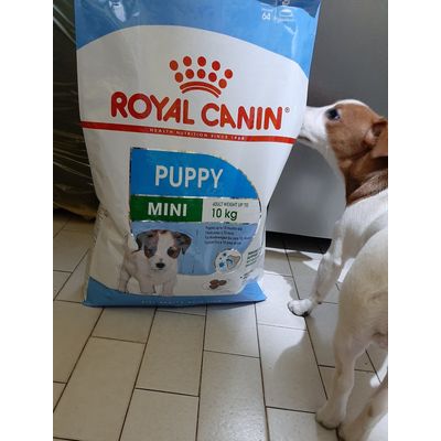 Ettore sono arrivate le crocchette