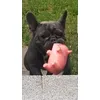 Pablo