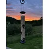 Opphengt i Solnedgang
