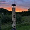 Opphengt i Solnedgang
