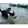 Balle flottante 