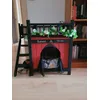 For goth cats