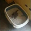 Ulisse e la nuova lettiera