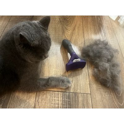 FURminator