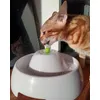 Bengalka