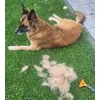 Furminator the best 