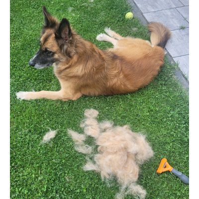 Furminator the best