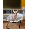 Luntik in a new chair