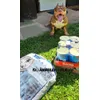 JUNIOR