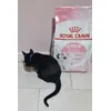 Royal Canin Kitten