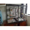 Gaiola com montagem completa e caturra 