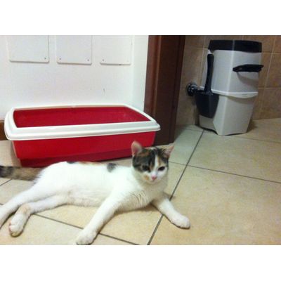 Litter Locker II e Penelope