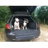Jack et Frakass