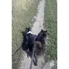 Dupla póráz