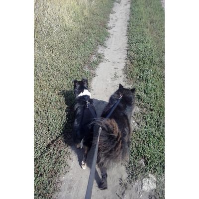 Dupla póráz