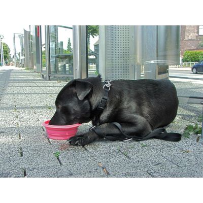 Haltestelle U-Bahn - Silikonnapf immer dabei