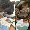 Mes Maine coon adorent